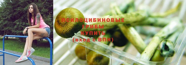 Альфа ПВП Богородск