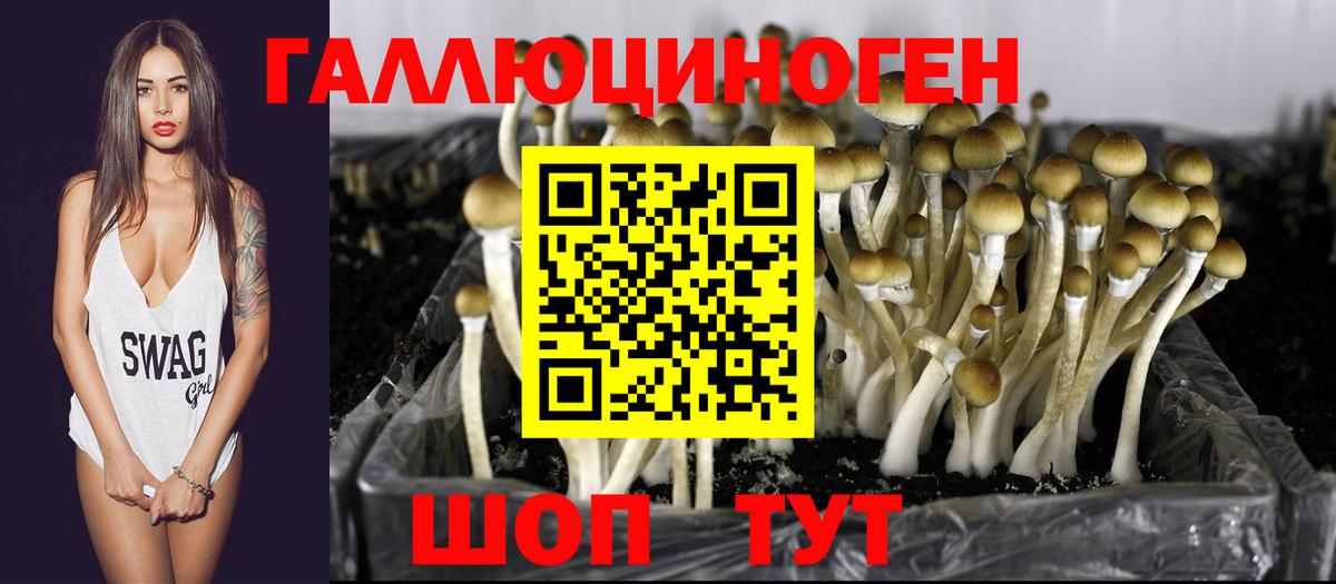 Уфа  Псилоцибиновые грибы GOLDEN TEACHER  как найти   Вход с VPN 